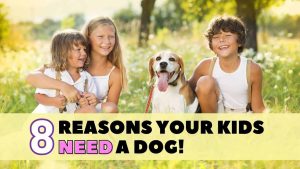 why kids need a dog