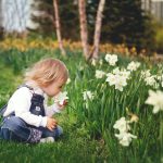 Creating A Safe Outdoor Space for Your Children to Enjoy